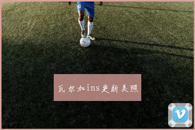 瓦尔加ins更新美照